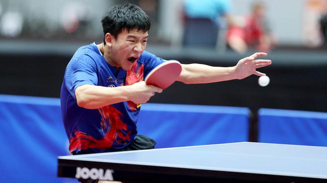 过往的表现 过往的表现